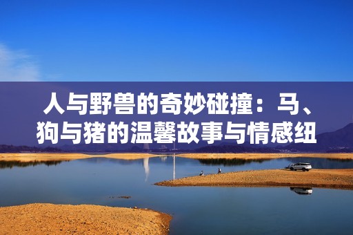 人与野兽的奇妙碰撞：马、狗与猪的温馨故事与情感纽带