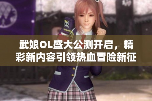 武娘OL盛大公测开启，精彩新内容引领热血冒险新征程
