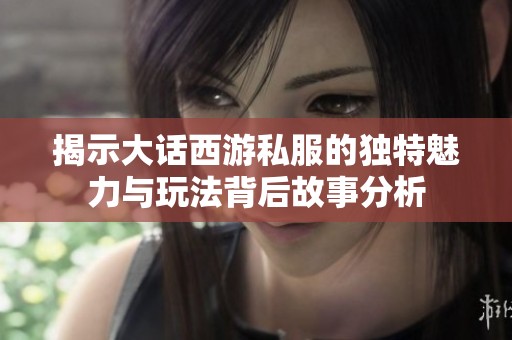 揭示大话西游私服的独特魅力与玩法背后故事分析
