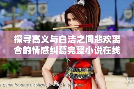 探寻高义与白洁之间悲欢离合的情感纠葛完整小说在线阅读分享
