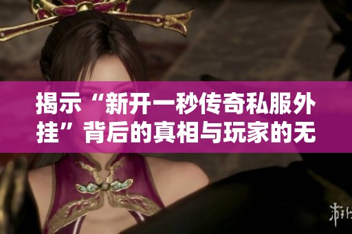 揭示“新开一秒传奇私服外挂”背后的真相与玩家的无奈与痛苦