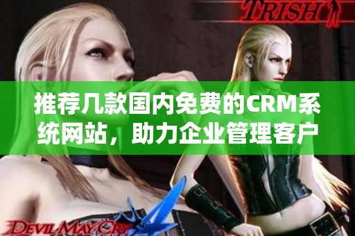 推荐几款国内免费的CRM系统网站，助力企业管理客户关系