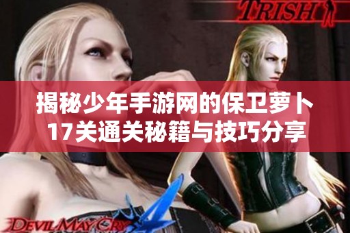 揭秘少年手游网的保卫萝卜17关通关秘籍与技巧分享