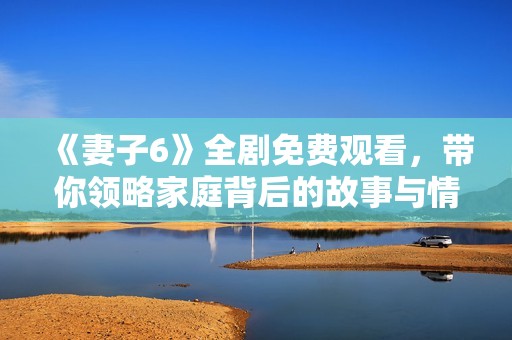 《妻子6》全剧免费观看，带你领略家庭背后的故事与情感纠葛