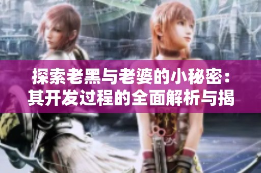 探索老黑与老婆的小秘密：其开发过程的全面解析与揭秘