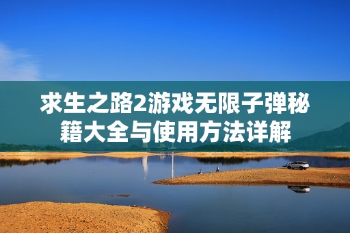 求生之路2游戏无限子弹秘籍大全与使用方法详解