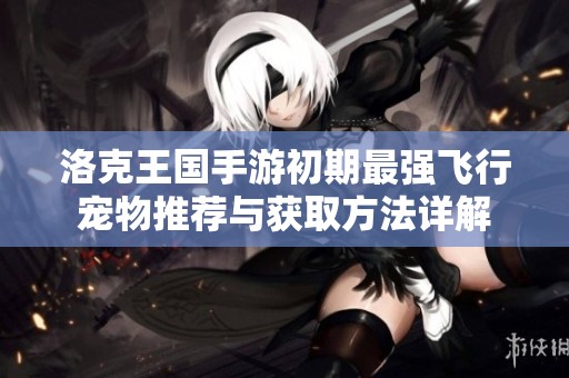 洛克王国手游初期最强飞行宠物推荐与获取方法详解