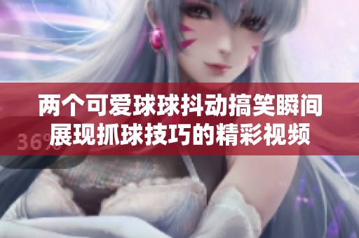 两个可爱球球抖动搞笑瞬间展现抓球技巧的精彩视频