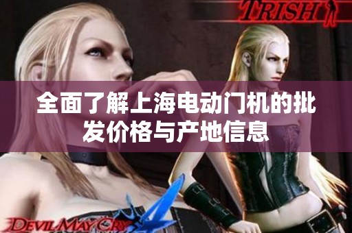 全面了解上海电动门机的批发价格与产地信息