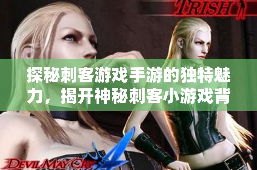 探秘刺客游戏手游的独特魅力，揭开神秘刺客小游戏背后的故事