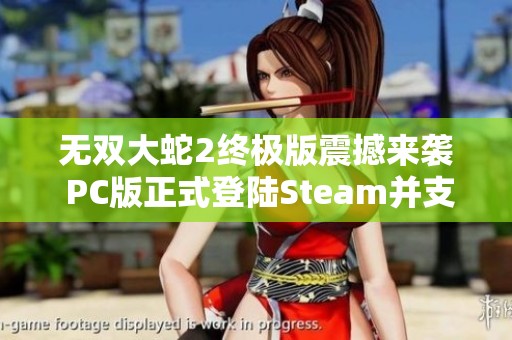 无双大蛇2终极版震撼来袭 PC版正式登陆Steam并支持中文游戏体验