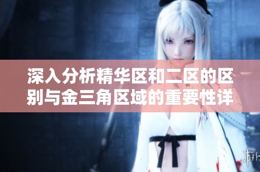 深入分析精华区和二区的区别与金三角区域的重要性详解