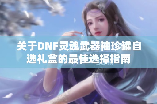 关于DNF灵魂武器袖珍罐自选礼盒的最佳选择指南