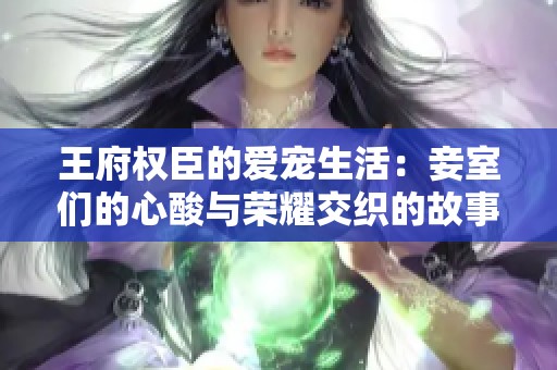 王府权臣的爱宠生活：妾室们的心酸与荣耀交织的故事