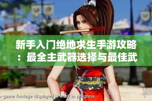 新手入门绝地求生手游攻略：最全主武器选择与最佳武器推荐分析
