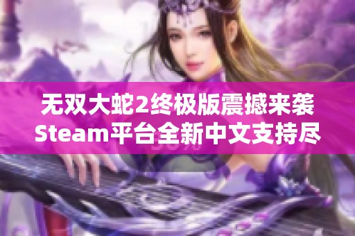 无双大蛇2终极版震撼来袭Steam平台全新中文支持尽享热血战斗
