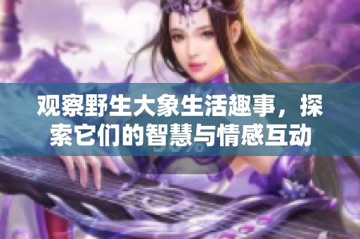 观察野生大象生活趣事，探索它们的智慧与情感互动