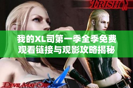 我的XL司第一季全季免费观看链接与观影攻略揭秘