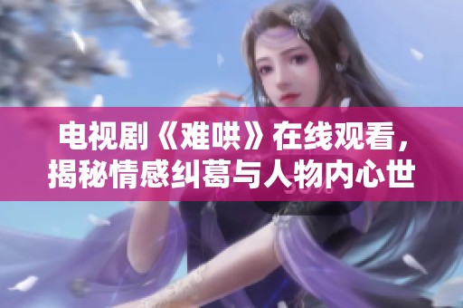 电视剧《难哄》在线观看，揭秘情感纠葛与人物内心世界的精彩故事
