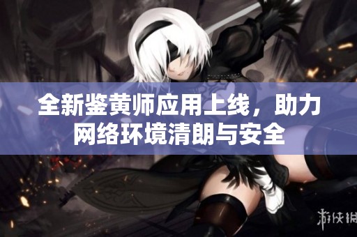 全新鉴黄师应用上线，助力网络环境清朗与安全