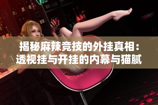 揭秘麻辣竞技的外挂真相：透视挂与开挂的内幕与猫腻分析
