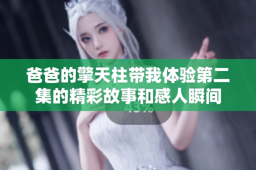 爸爸的擎天柱带我体验第二集的精彩故事和感人瞬间