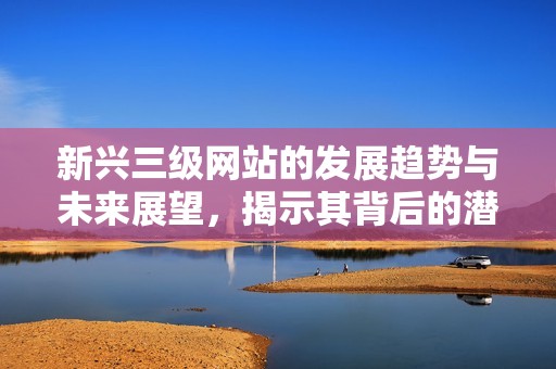 新兴三级网站的发展趋势与未来展望，揭示其背后的潜在影响