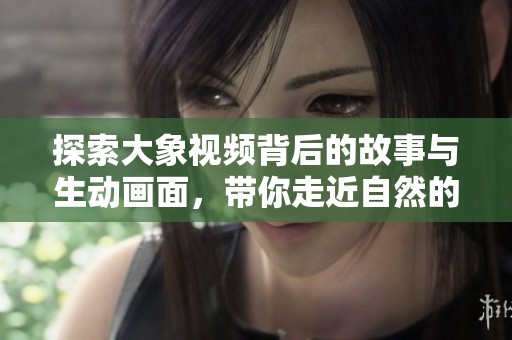 探索大象视频背后的故事与生动画面，带你走近自然的奇妙世界