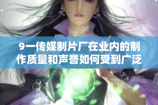 9一传媒制片厂在业内的制作质量和声誉如何受到广泛关注与认可