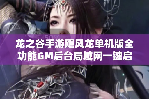 龙之谷手游飓风龙单机版全功能GM后台局域网一键启动体验攻略