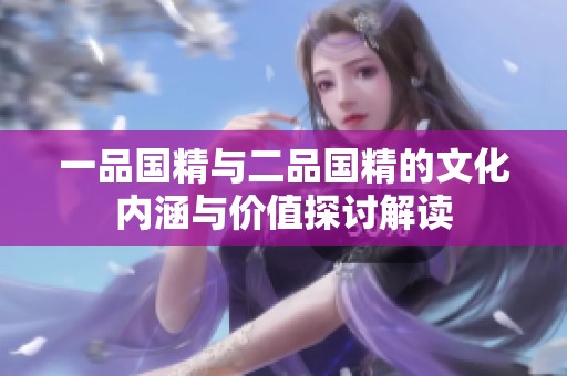一品国精与二品国精的文化内涵与价值探讨解读
