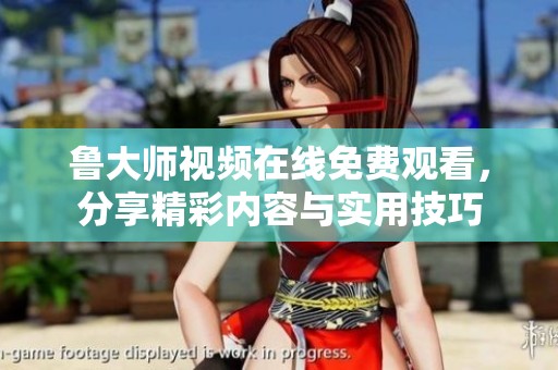 鲁大师视频在线免费观看，分享精彩内容与实用技巧