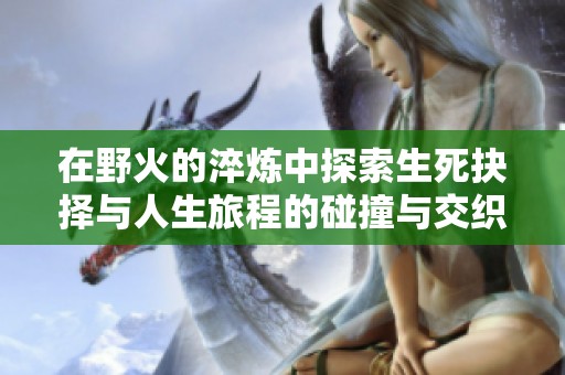 在野火的淬炼中探索生死抉择与人生旅程的碰撞与交织