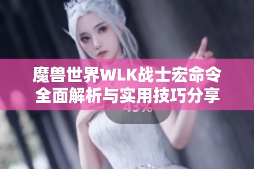 魔兽世界WLK战士宏命令全面解析与实用技巧分享