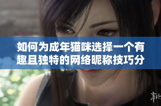 如何为成年猫咪选择一个有趣且独特的网络昵称技巧分享
