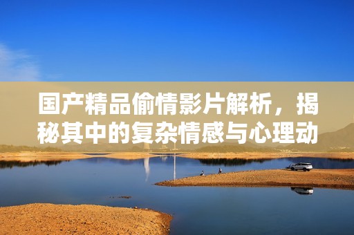 国产精品偷情影片解析，揭秘其中的复杂情感与心理动机
