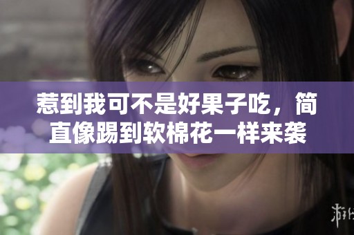惹到我可不是好果子吃，简直像踢到软棉花一样来袭