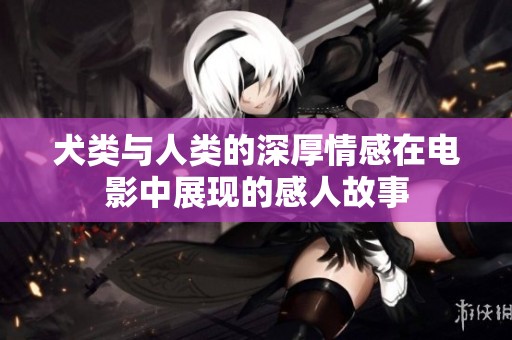 犬类与人类的深厚情感在电影中展现的感人故事