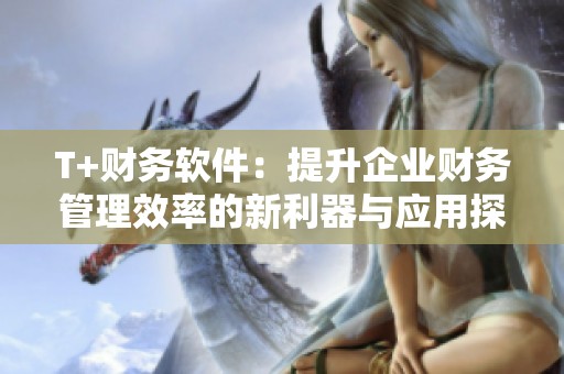 T+财务软件：提升企业财务管理效率的新利器与应用探索
