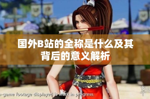 国外B站的全称是什么及其背后的意义解析