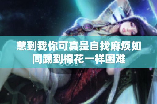 惹到我你可真是自找麻烦如同踢到棉花一样困难