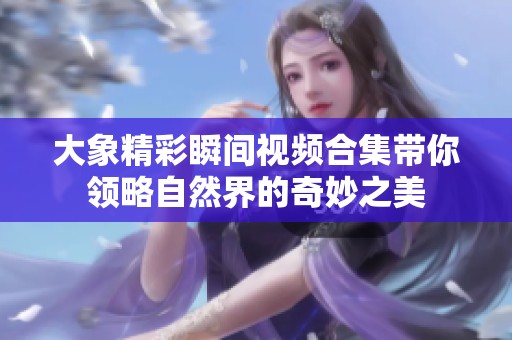 大象精彩瞬间视频合集带你领略自然界的奇妙之美