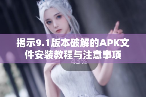 揭示9.1版本破解的APK文件安装教程与注意事项
