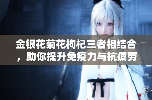 金银花菊花枸杞三者相结合，助你提升免疫力与抗疲劳能力
