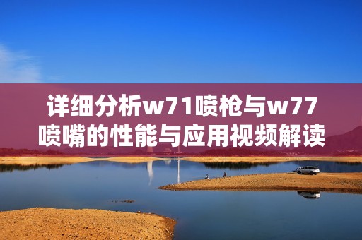 详细分析w71喷枪与w77喷嘴的性能与应用视频解读