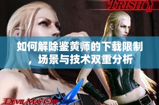如何解除鉴黄师的下载限制，场景与技术双重分析
