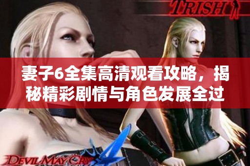 妻子6全集高清观看攻略，揭秘精彩剧情与角色发展全过程