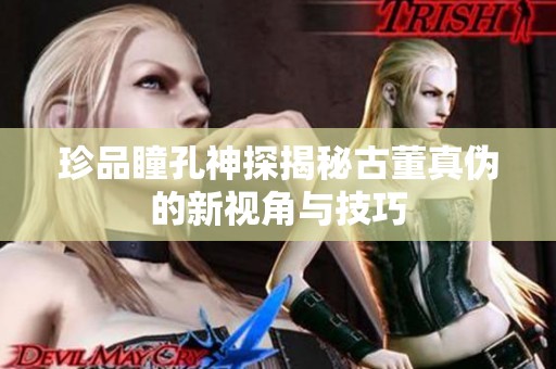 珍品瞳孔神探揭秘古董真伪的新视角与技巧