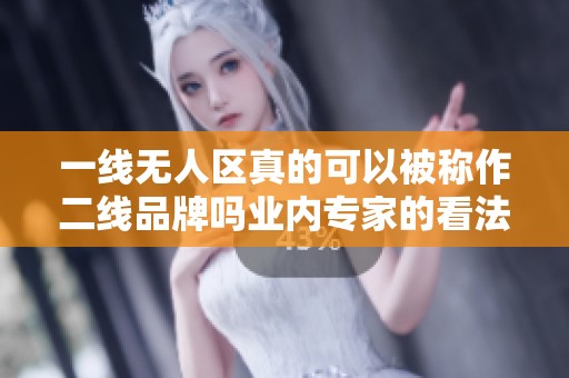 一线无人区真的可以被称作二线品牌吗业内专家的看法是什么