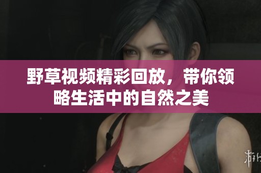野草视频精彩回放，带你领略生活中的自然之美